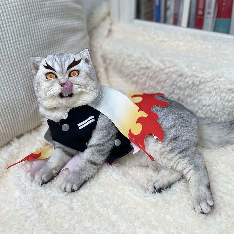 Şeytan Slayer Pet Cosplay rens - Cosplay Flame Prop incelemesi ve fiyatı