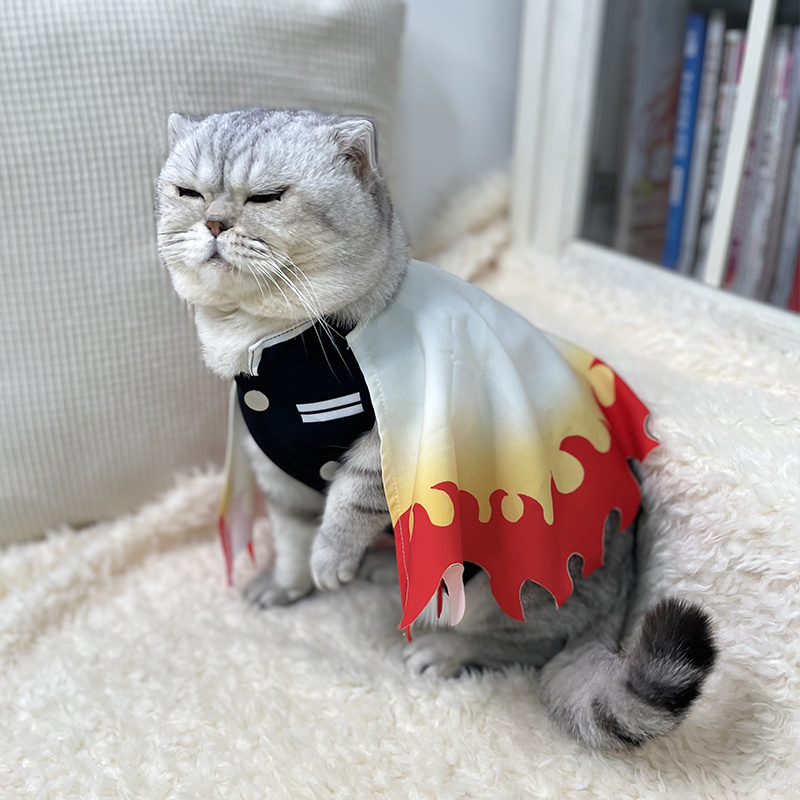 Şeytan Slayer Pet Cosplay rens - Cosplay Flame Prop incelemesi ve fiyatı