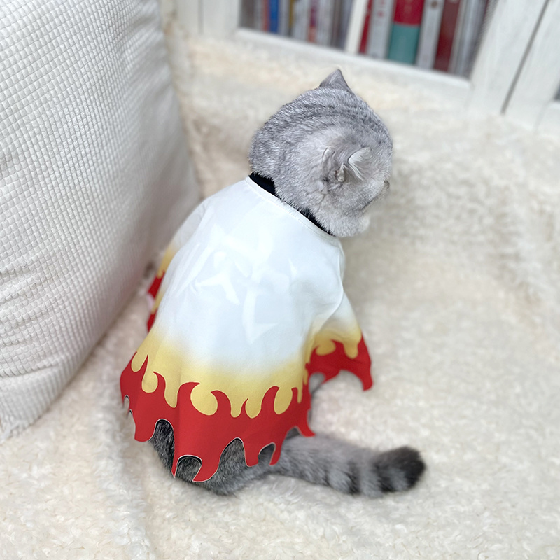 Şeytan Slayer Pet Cosplay rens - Cosplay Flame Prop incelemesi ve fiyatı